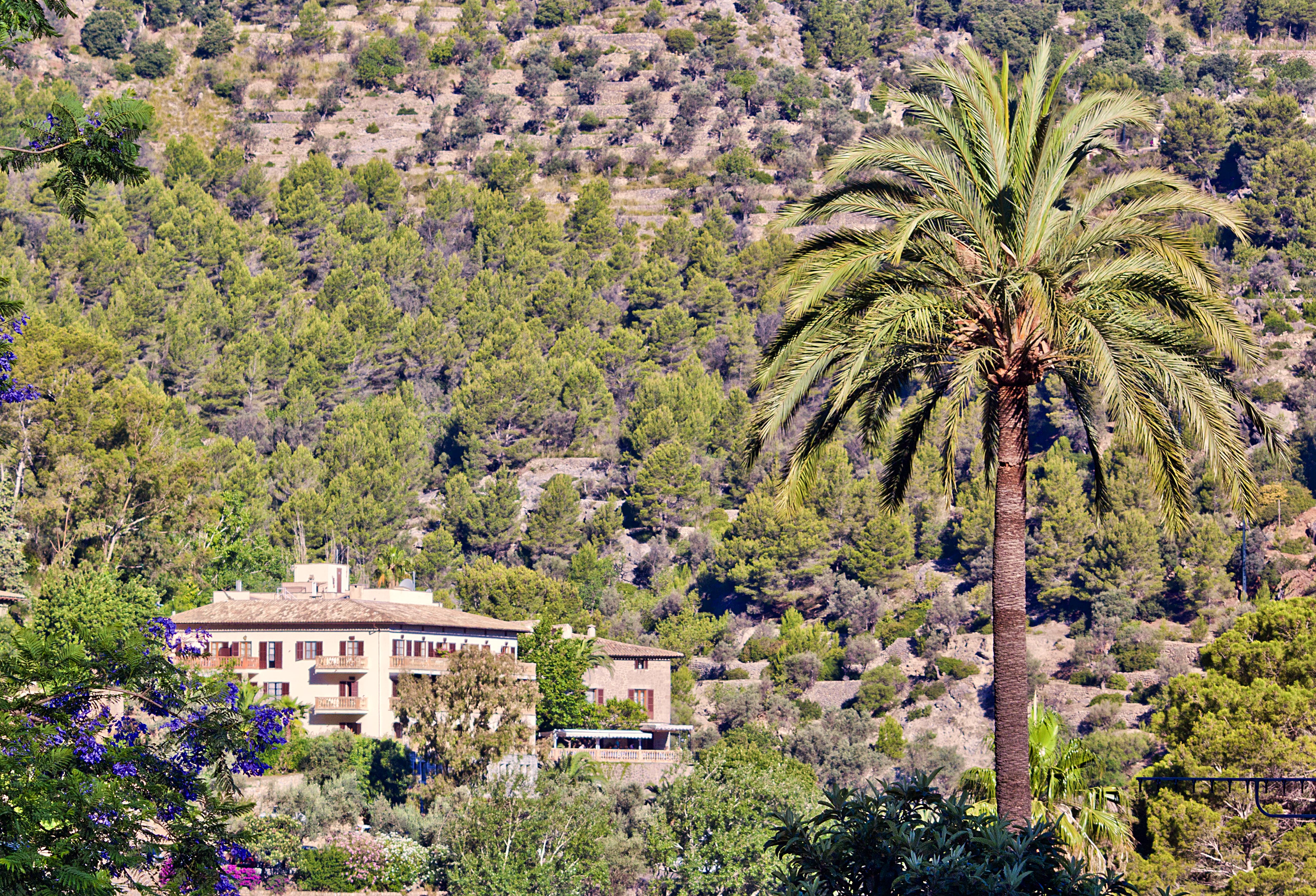 Es Moli Hotel Deià Kültér fotó